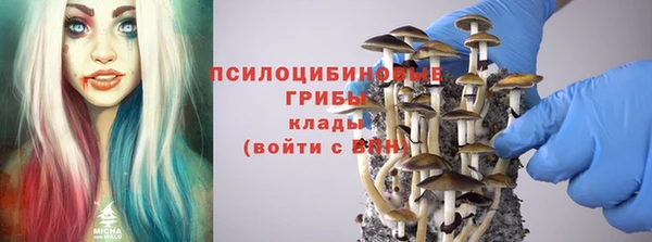 метадон Алексеевка