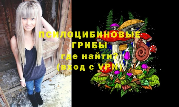 Альфа ПВП Алзамай