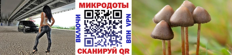 Псилоцибиновые грибы MAGIC MUSHROOMS  сколько стоит  Камбарка 