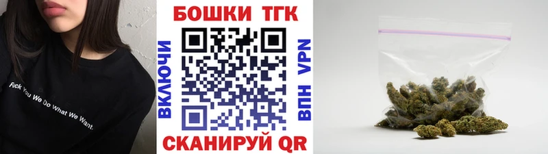 Бошки Шишки планчик Камбарка